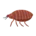 Блоха