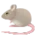 Мыши